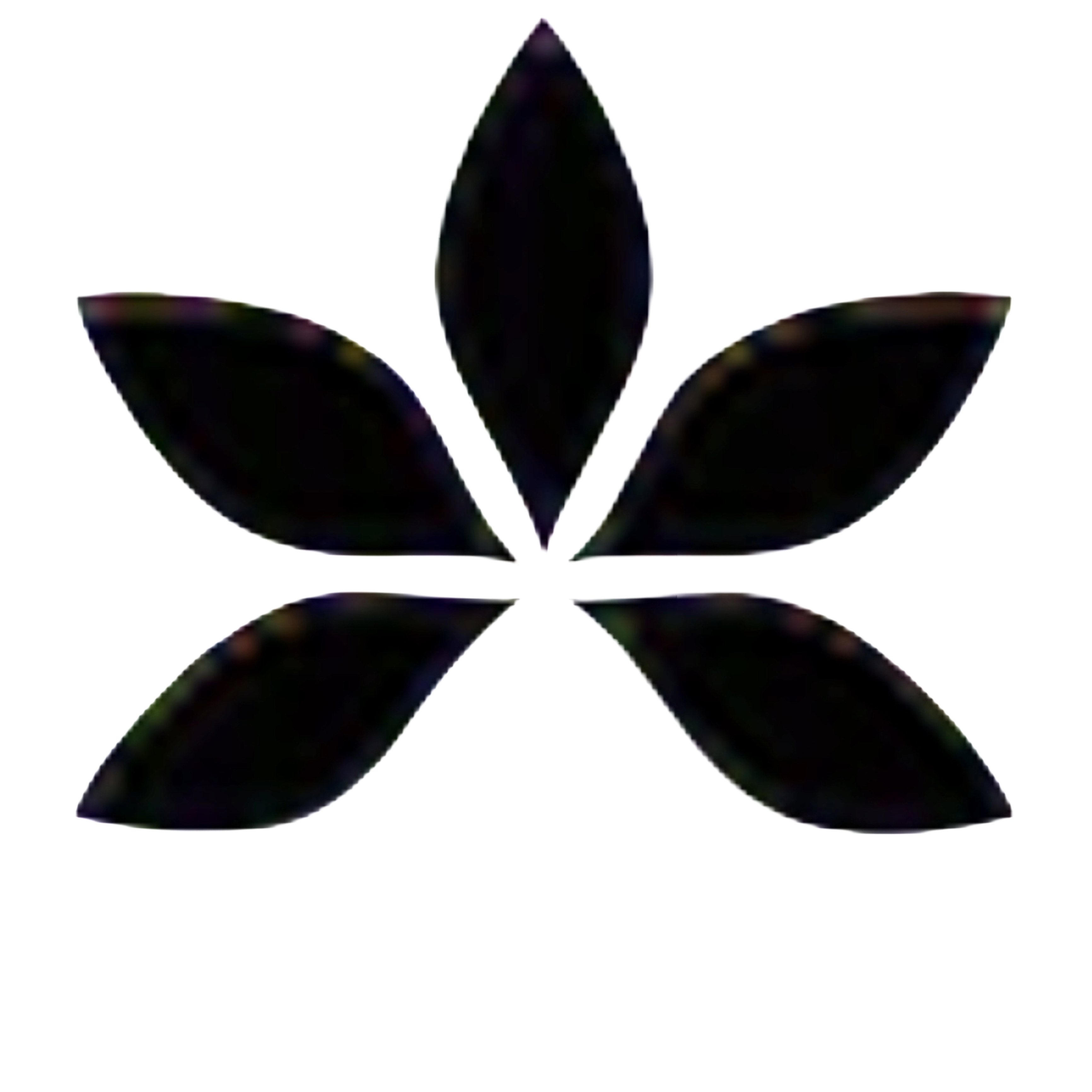 Didacolsa Logo
